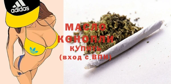 стаф Новозыбков