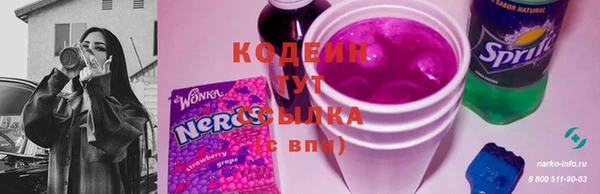 стаф Новозыбков