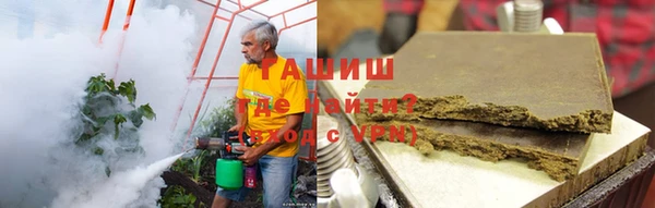 стаф Новозыбков