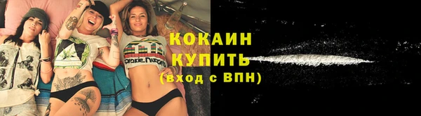 стаф Новозыбков