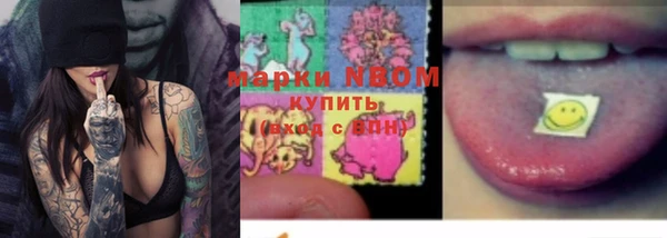 стаф Новозыбков