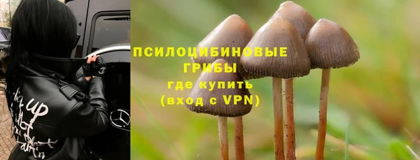 прущие крисы Новокубанск