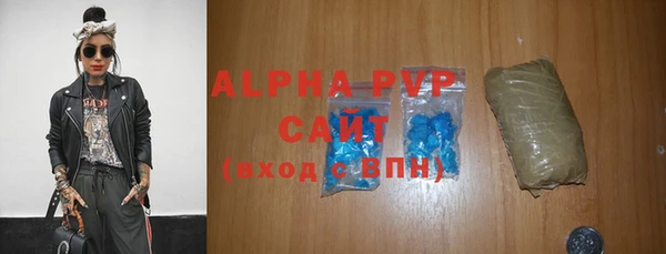 стаф Новозыбков