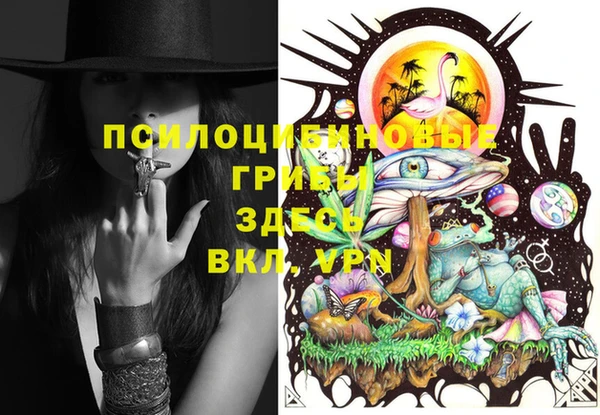 прущие крисы Новокубанск