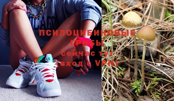 прущие крисы Новокубанск