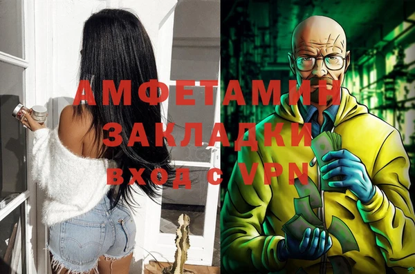 стаф Новозыбков