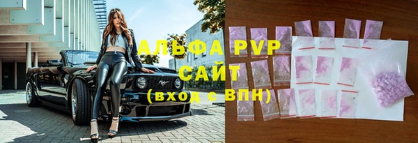 стаф Новозыбков