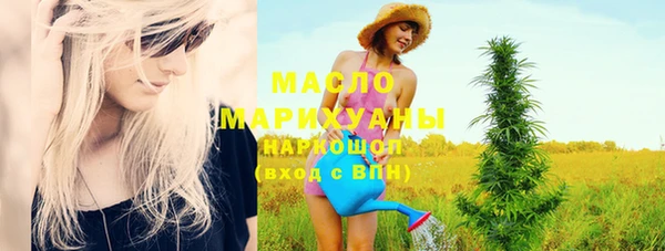 стаф Новозыбков