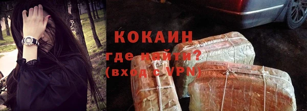 стаф Новозыбков