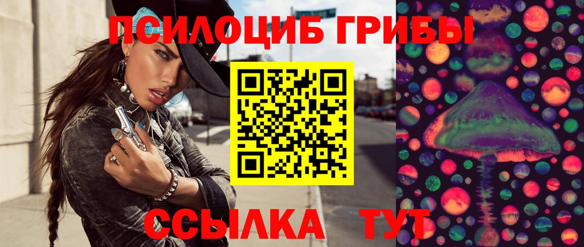 Галлюциногенные грибы Psilocybine cubensis Белогорск