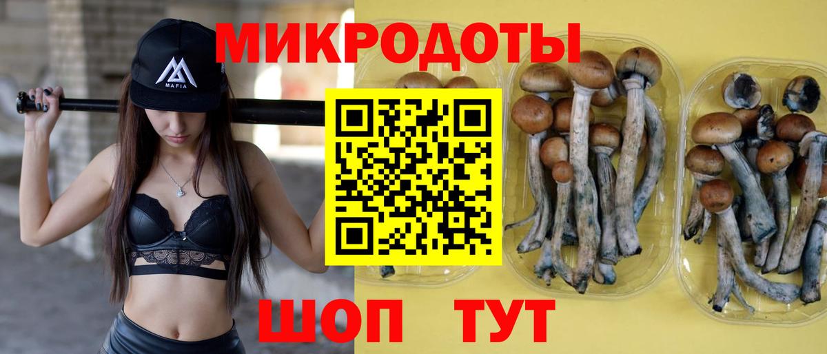 Псилоцибиновые грибы прущие грибы  Галлюциногенные грибы прущие грибы  Вход с VPN  Белогорск 