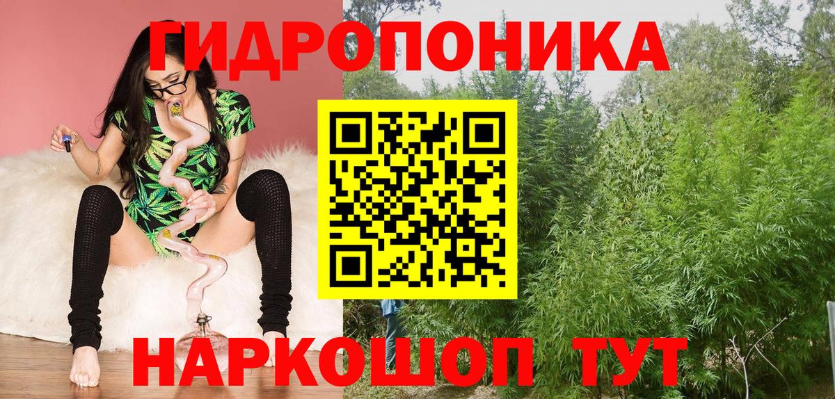 Бошки Шишки  Плюхи  Каннабис  Белогорск  Мед  МЕФ  Альфа ПВП  Вход с VPN 